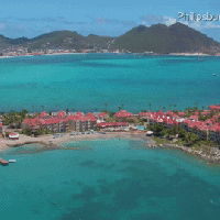 Graphic Design in the&nbsp;Caribbean