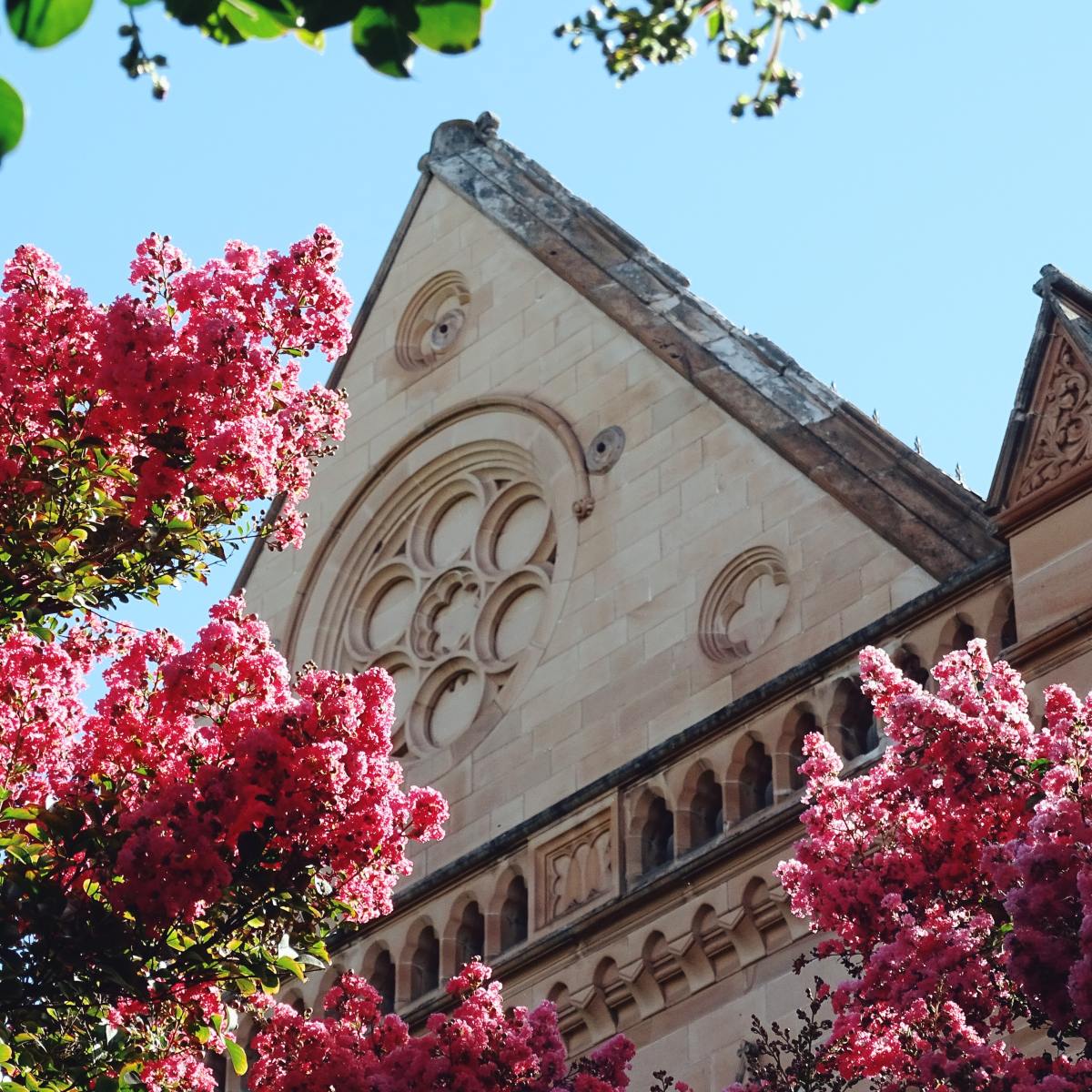 Masonry in the&nbsp;UK